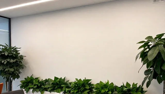 项目管理中使用建议的检查要点与性能分析